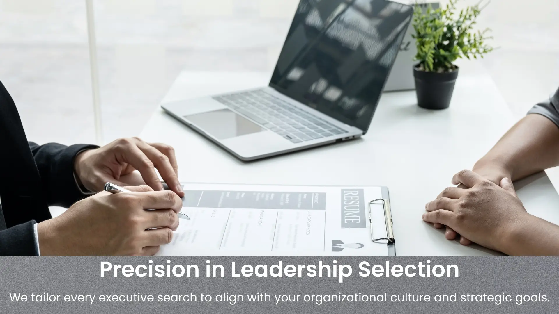 Tailored Executive Search